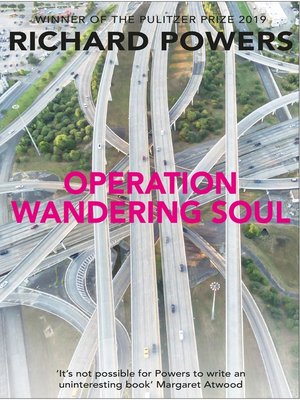 cover image of Operation Wandering Soul